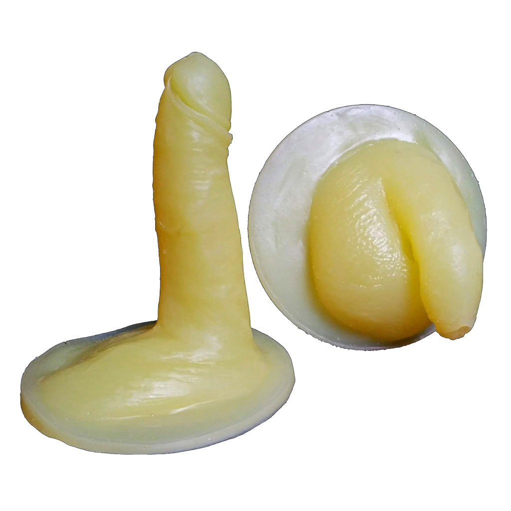 Photo pénis modèle 1/ Picture penis model 1